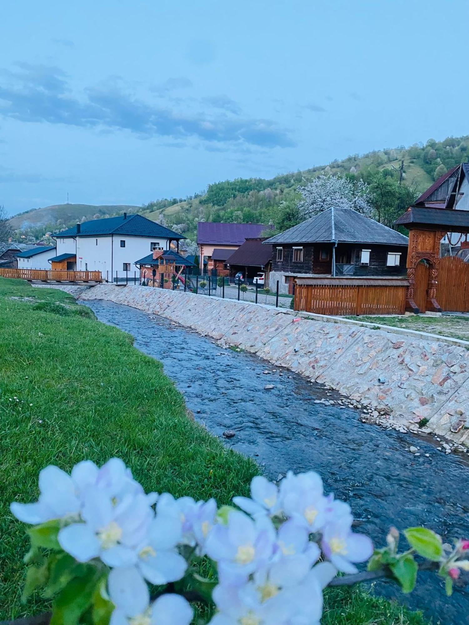 Pensiunea Suci Botiza Экстерьер фото