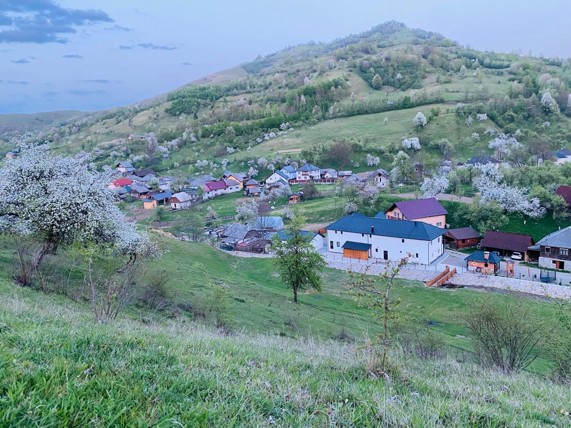 Pensiunea Suci Botiza Экстерьер фото