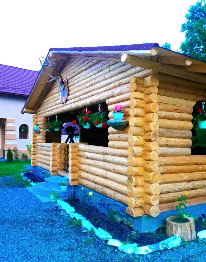 Pensiunea Suci Botiza Экстерьер фото